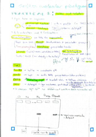PRACTIQUES-GEN-MOL.pdf