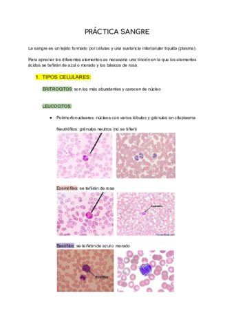 PRACTICAS-BIOLOGIA-1.pdf