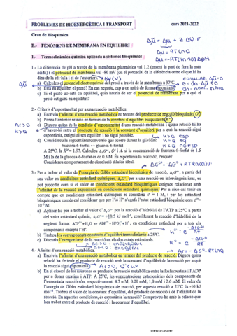 Problemes-Bit-1.pdf