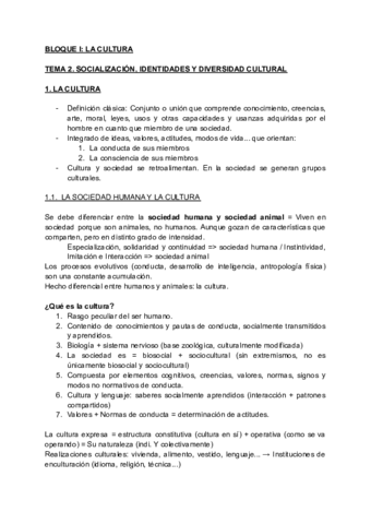 TEMA-2.pdf