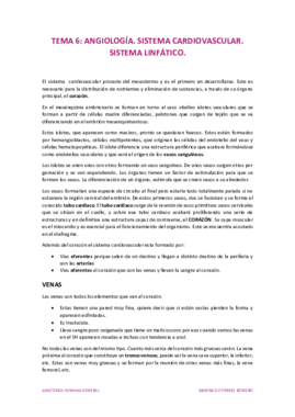 Tema 6.pdf