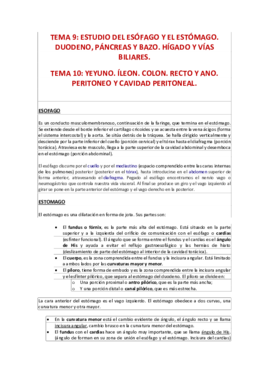 Tema 9 y 10.pdf