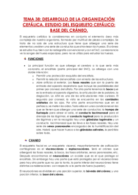 Tema 38.pdf
