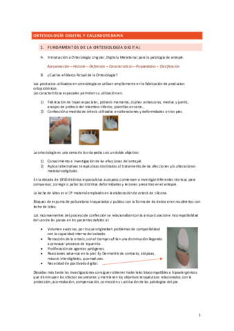 ORTESIOLOGIA-DIGITAL-Y-CALZADOTERAPIA.pdf