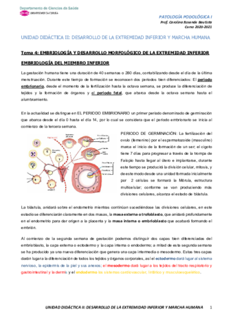 Tema-4-EmbriologAa-y-desarrollo-de-la-extremidad-inferior.pdf