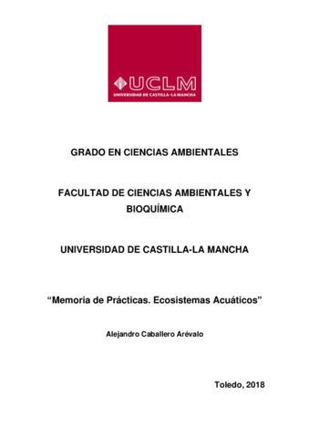 Memoria-de-Practicas.pdf