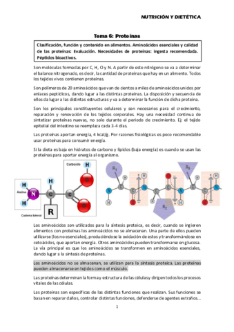 Tema-6-Proteinas.pdf