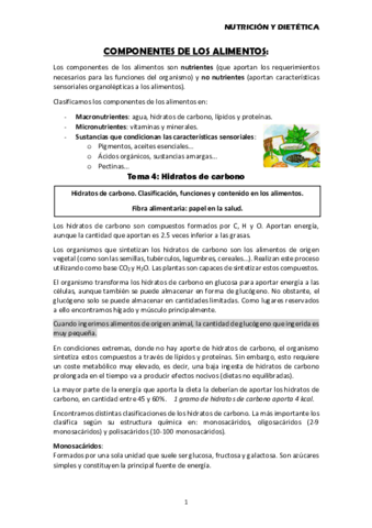 Tema-4-Hidratos-de-carbono.pdf