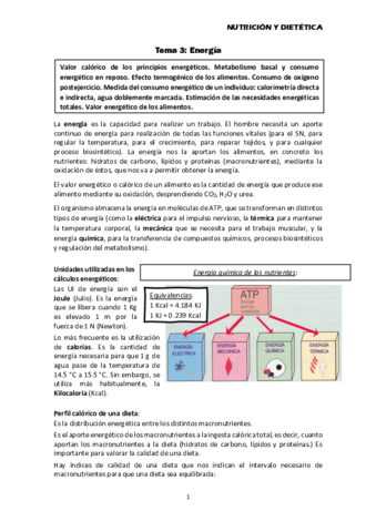 Tema-3-Energia.pdf