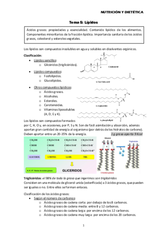 Tema-5-Lipidos.pdf