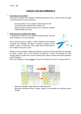 Tema2.pdf