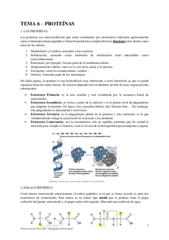 TEMA-6-APUNTES-PROPIOS.pdf