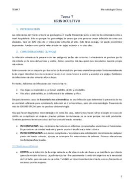 TEMA 7.pdf