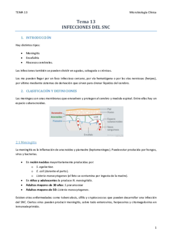 TEMA 13.pdf