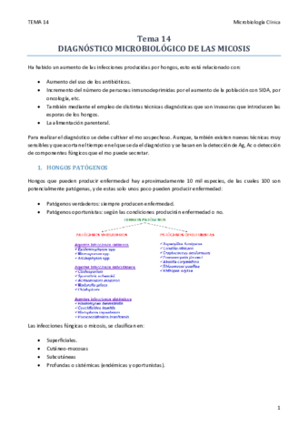 TEMA 14.pdf
