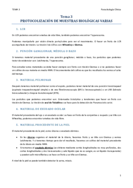 TEMA 3.pdf