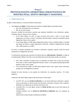 TEMA 2.pdf