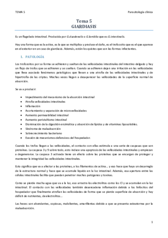 TEMA 5.pdf