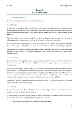 TEMA 7.pdf