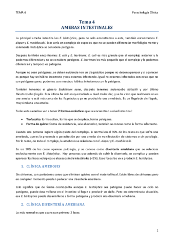 TEMA 4.pdf