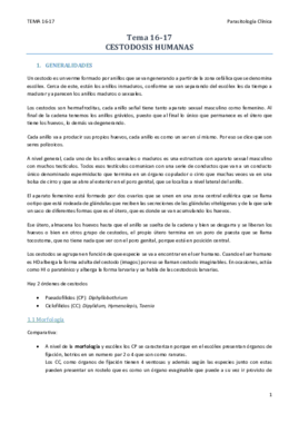 TEMA 16-17.pdf