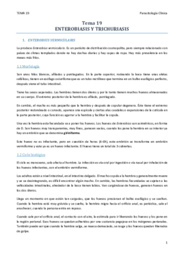 TEMA 19.pdf