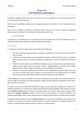TEMA 18.pdf
