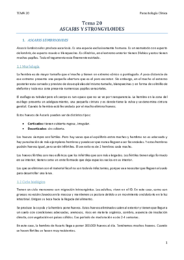 TEMA 20.pdf