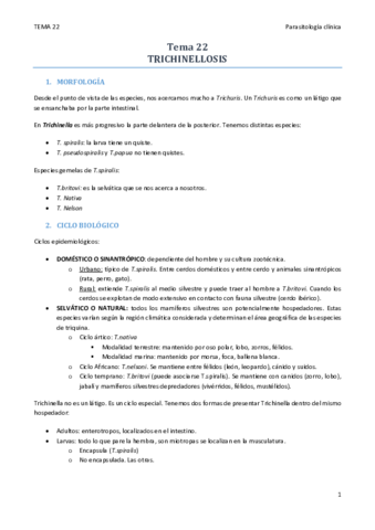 TEMA 22.pdf