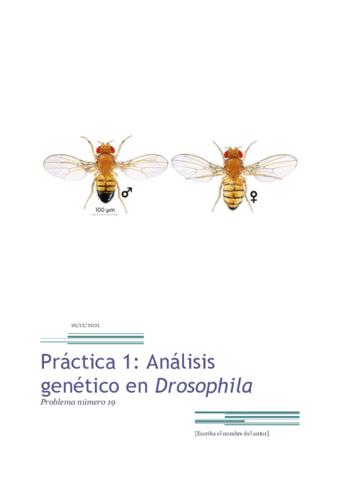Informe-practica-Drosophila-1.pdf