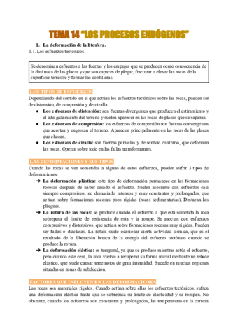 TEMA-14-LOS-PROCESOS-ENDOGENOS.pdf