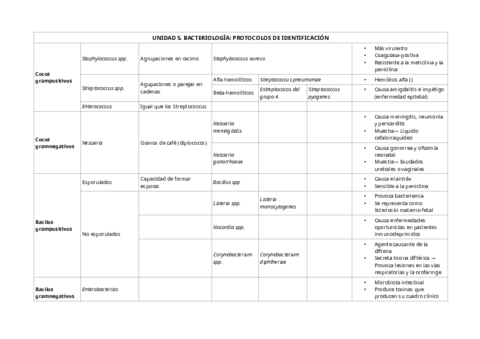 Esquema-bacterias-ud-5.pdf