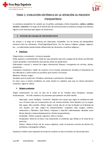 Tema-1-SM.pdf