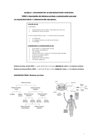 TEMA-1-A.pdf