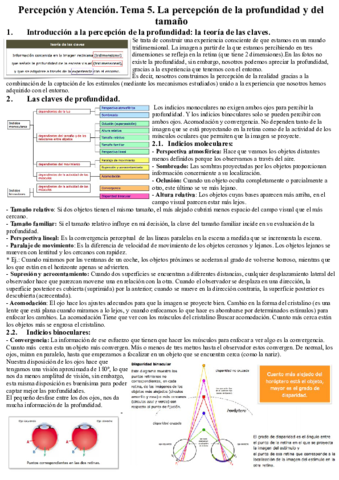 Percepcion-y-Atencion.pdf