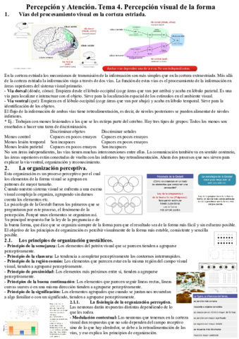 Percepcion-y-Atencion.pdf