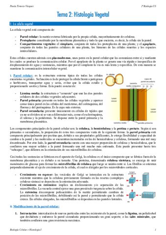 Tema-2-BCHI.pdf