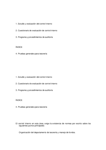 Resumen-13.pdf