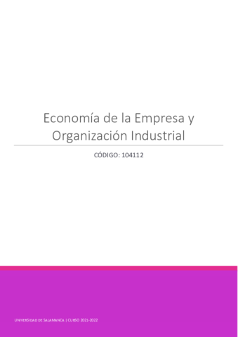104112-Economia-de-la-Empresa-y-Organizacion-Industrial.pdf