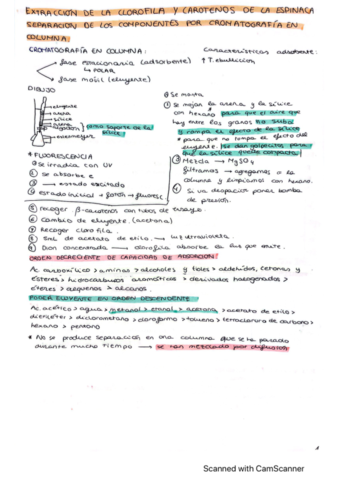 Resumen-examen-lab.pdf
