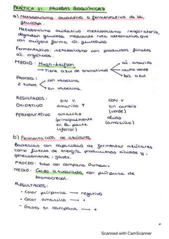 practicas-microbiologia.pdf
