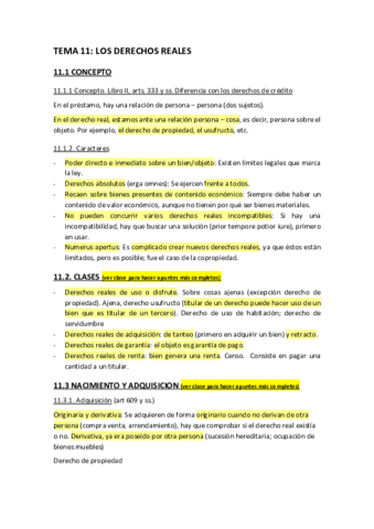Principios-Juridicos-Basicos-Tema-11.pdf