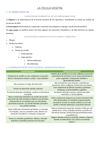 UNIDAD-1-PDF.pdf