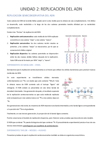 UNIDAD-2-CORREGIDA.pdf