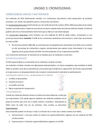 UNIDAD-3-PDF-CORREGIDO.pdf