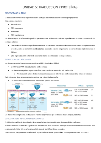 UNIDAD-5-1-PDF.pdf