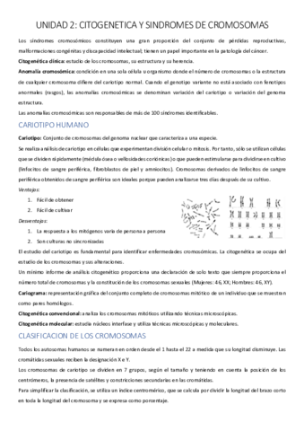 UNIDAD-2-CARMEN.pdf