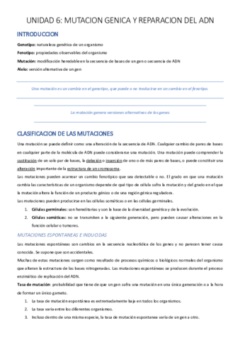 UNIDAD-6-PDF.pdf