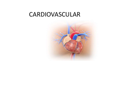 cc-CARDIOVASCULAR.pdf