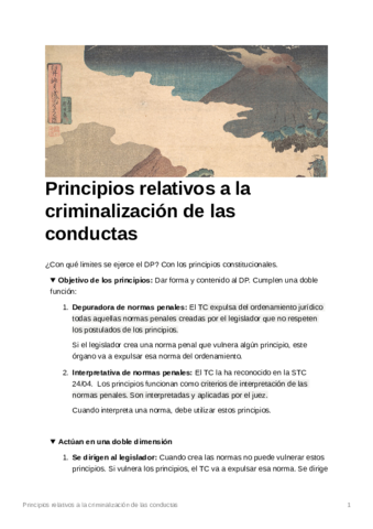 Principiosrelativosalacriminalizacindelasconductas.pdf